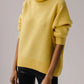 Turtleneck Knitted Pullover