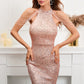 Sequin Evening Dress
